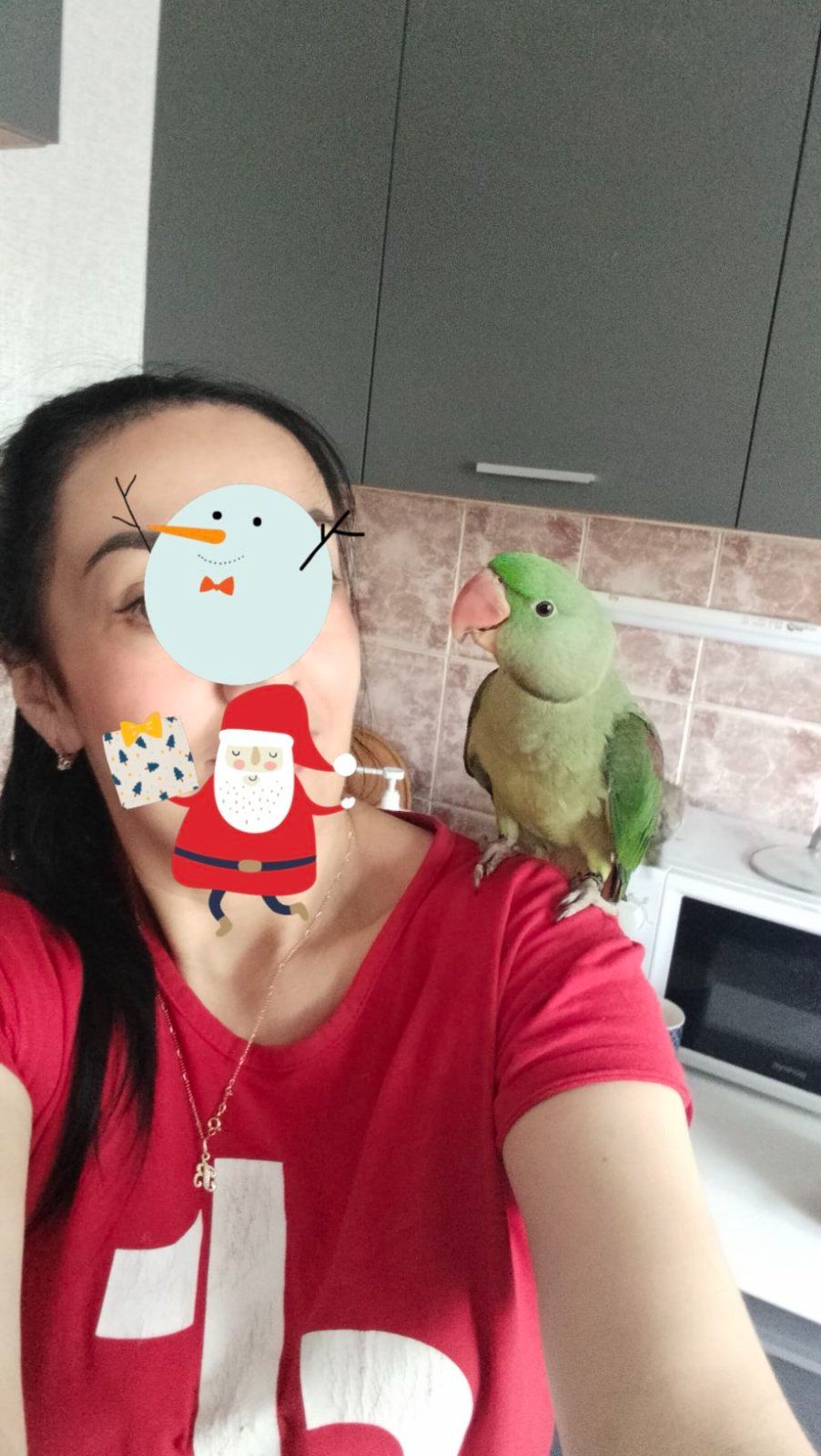 Олександрійський ручний хлопчик