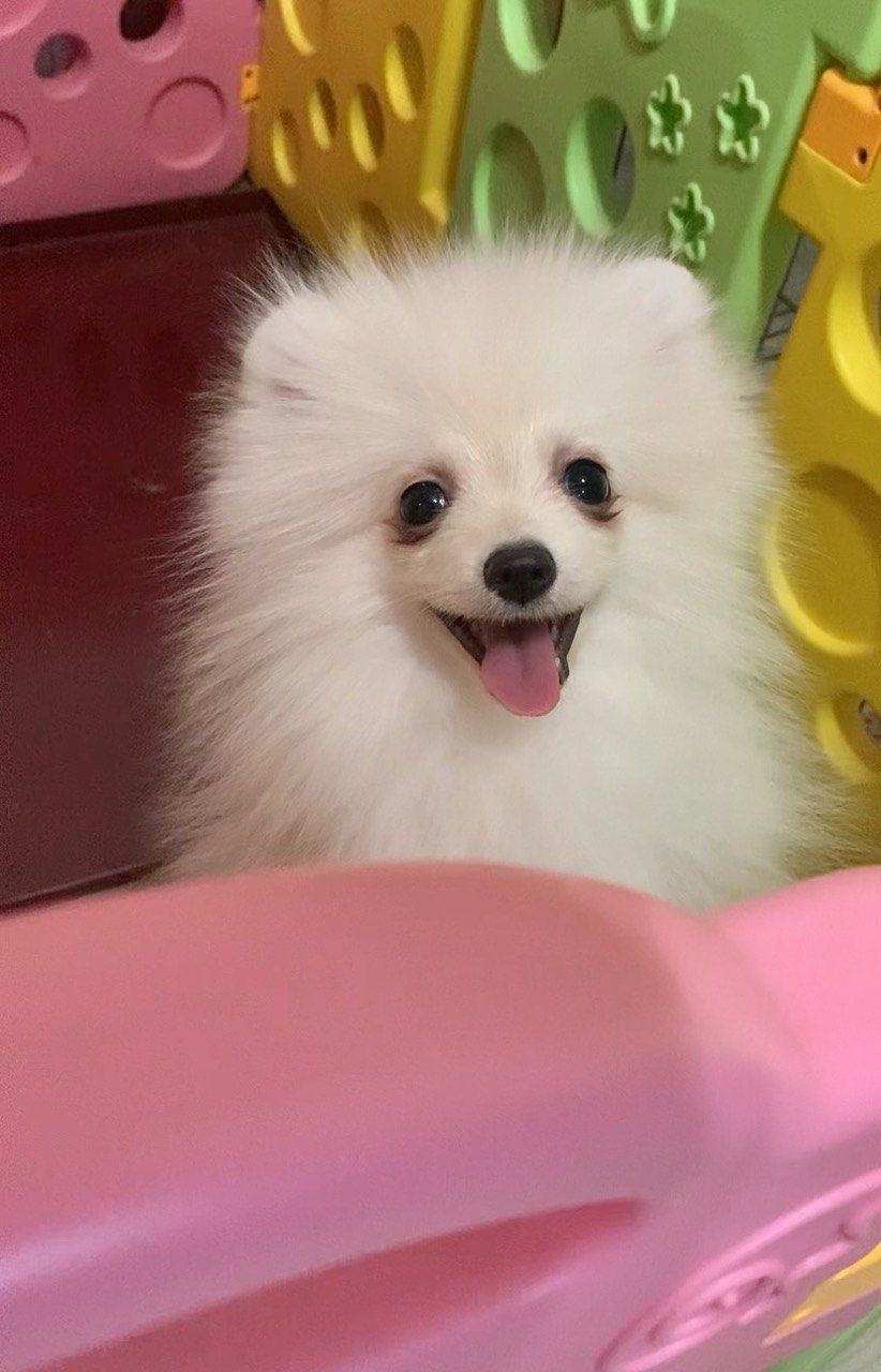 Самый обаятельный и привлекательный