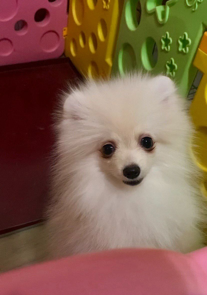 Самый обаятельный и привлекательный