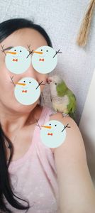 Монашик Хлопчик Ківік