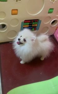 Самый обаятельный и привлекательный