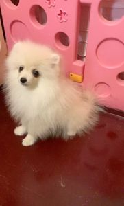 Самый обаятельный и привлекательный