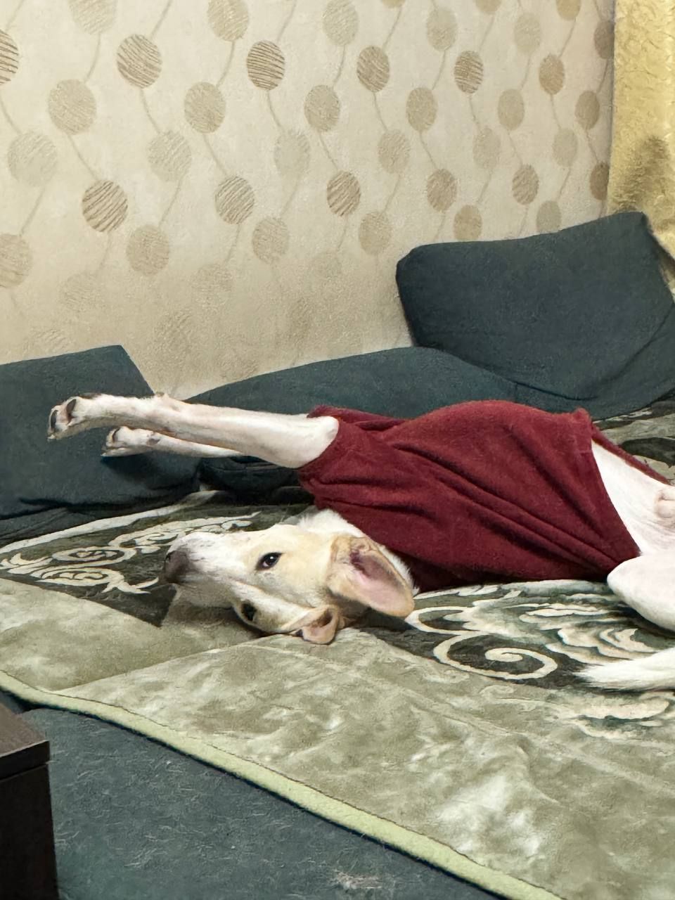 Мальчик Персик