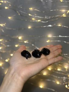 Мускусна черепаха, маленька черепаха, водяна черепаха