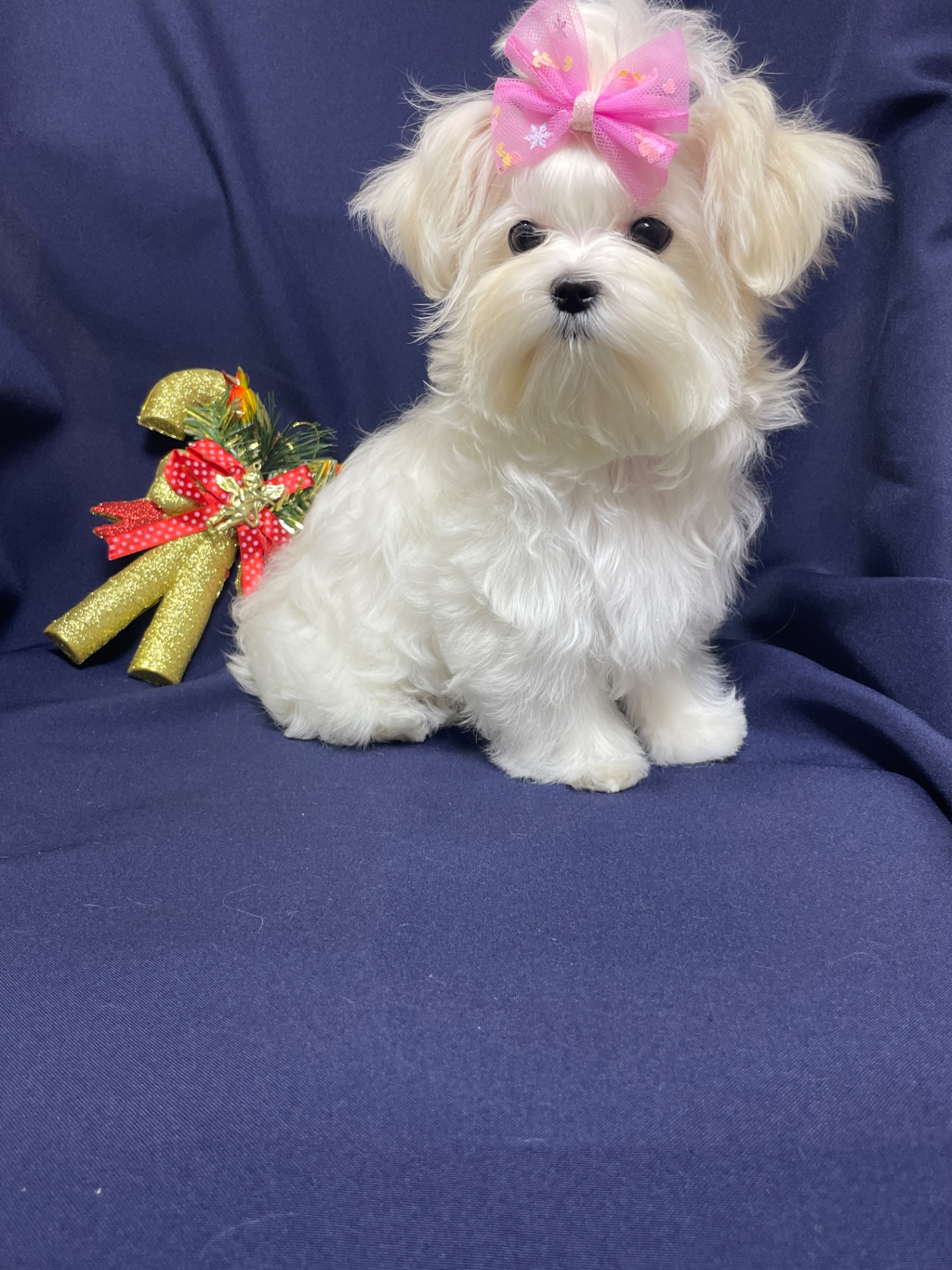 Міні дівчинка