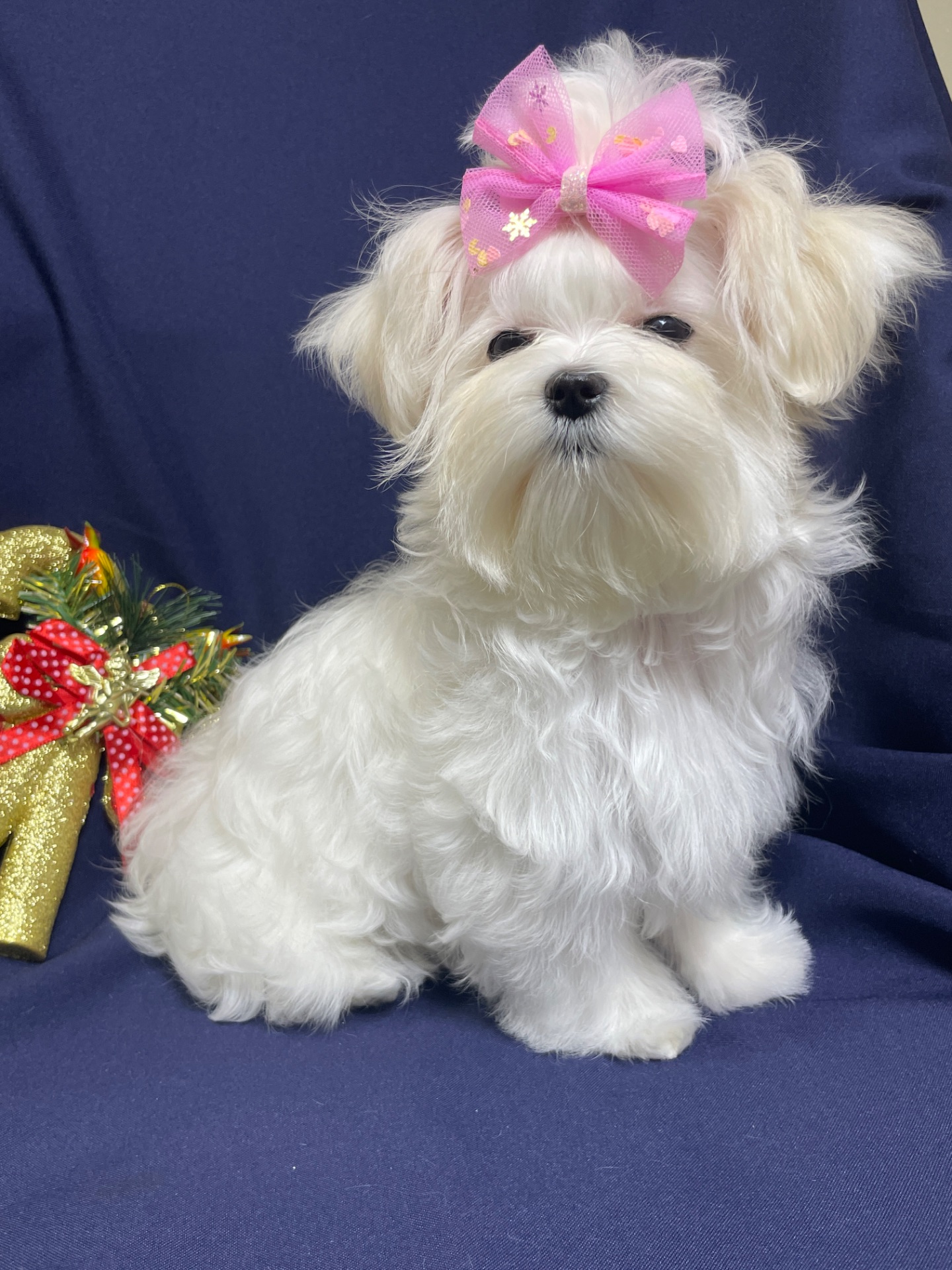 Міні дівчинка