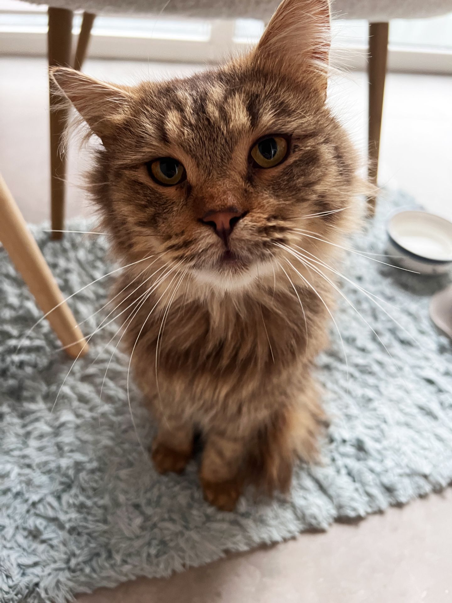 Сереженька