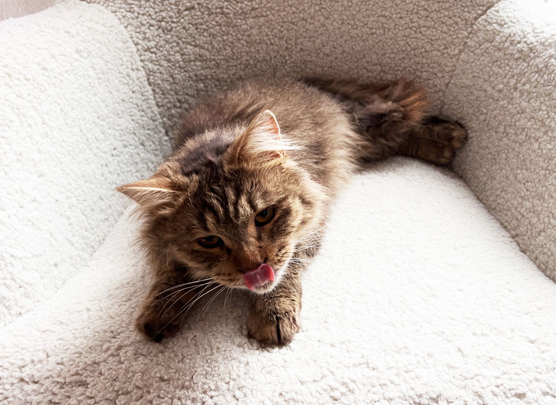 Сереженька