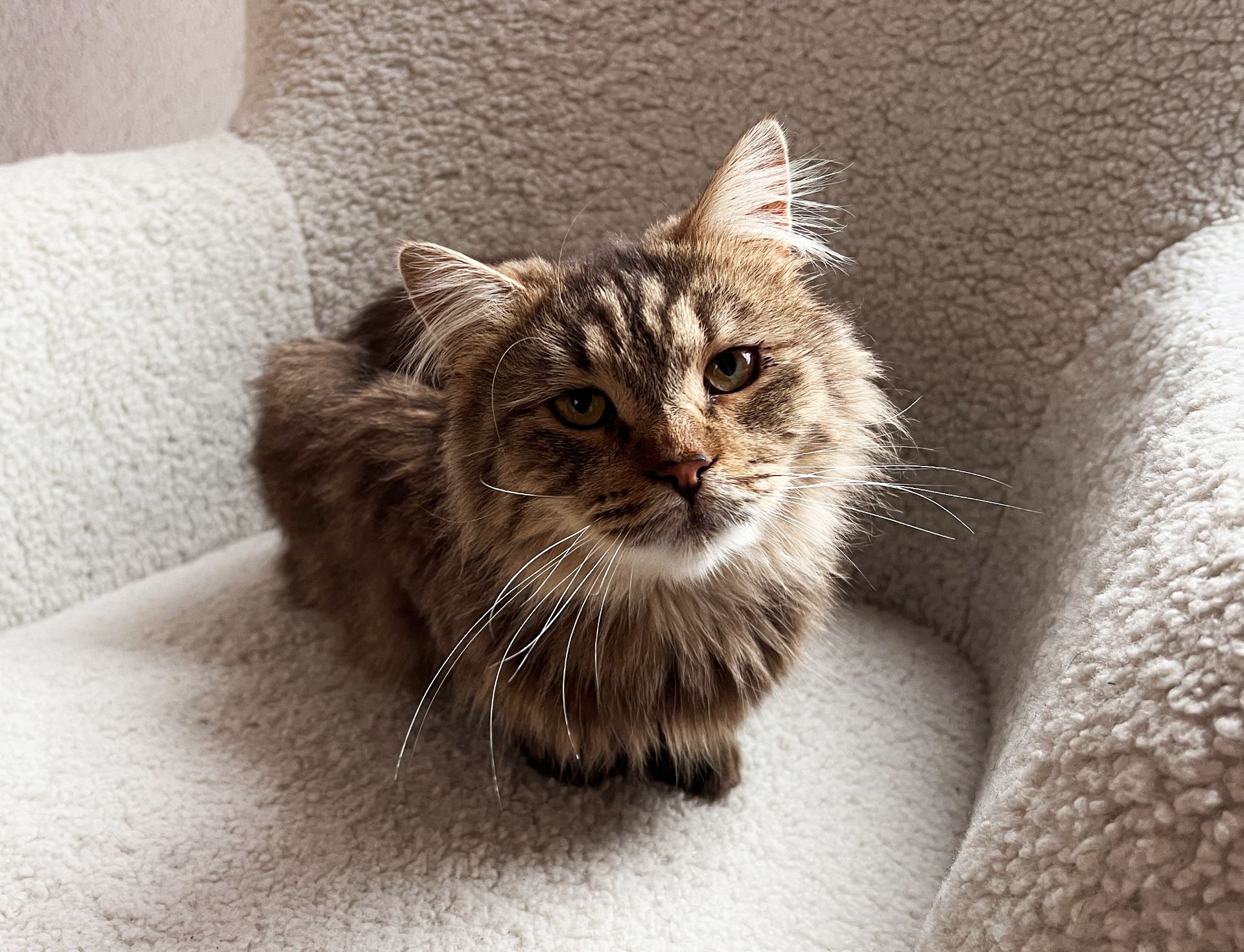 Сереженька