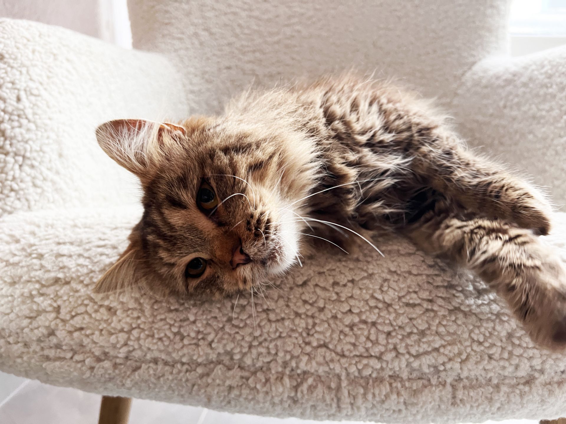 Сереженька