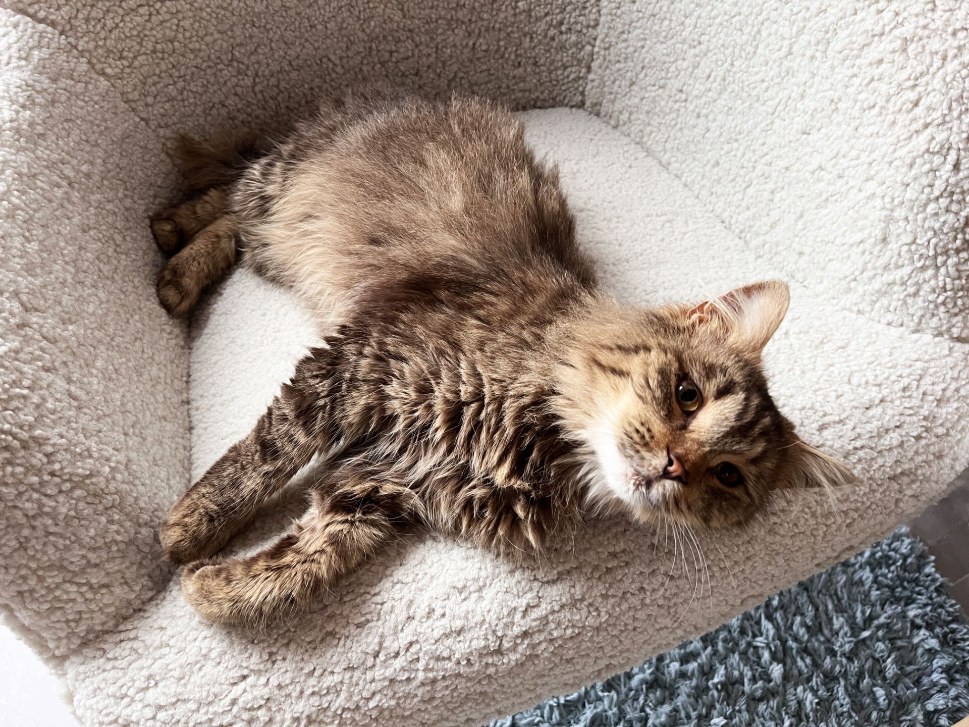 Сереженька