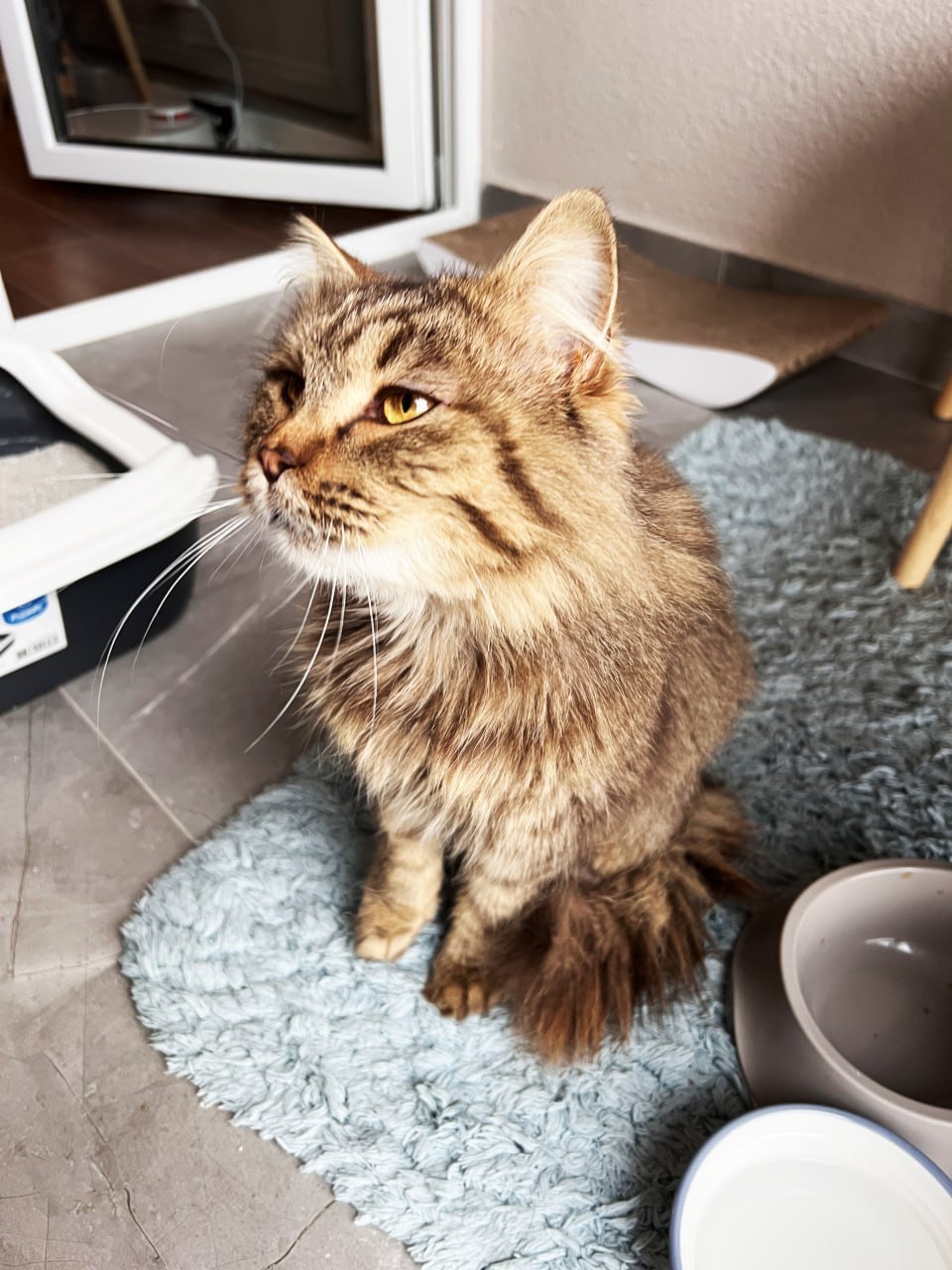 Котик Левчик