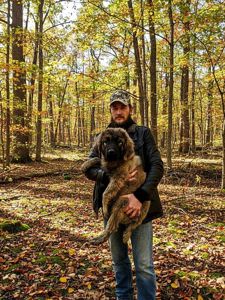 Аліментний хлопчик кавказької вівчарки від розплідника Star Escort