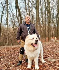 Аліментний хлопчик кавказької вівчарки від розплідника Star Escort