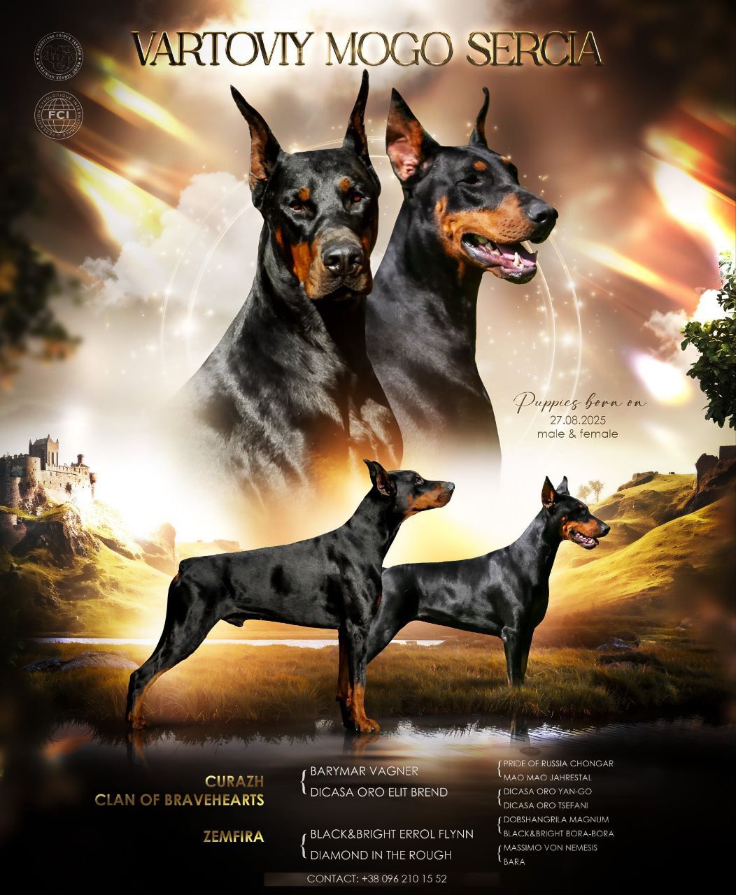 Чудові дітки доберманів