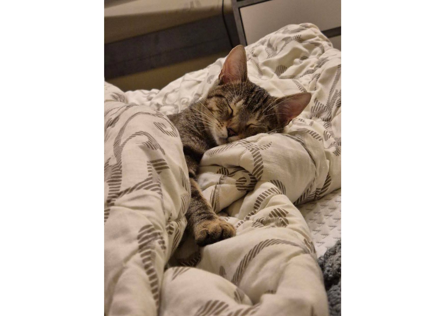 Неймовірна дівчинка чекає своїх людей