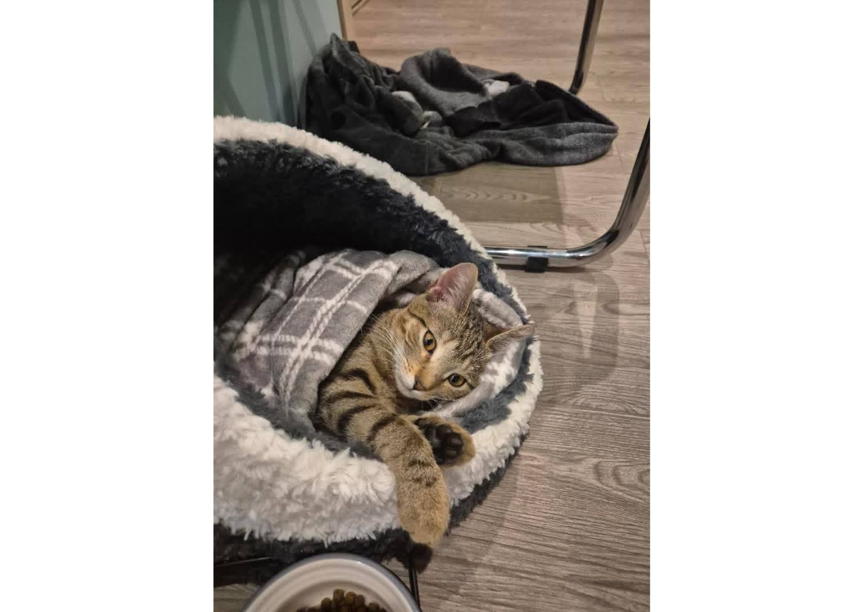 Неймовірна дівчинка чекає своїх людей