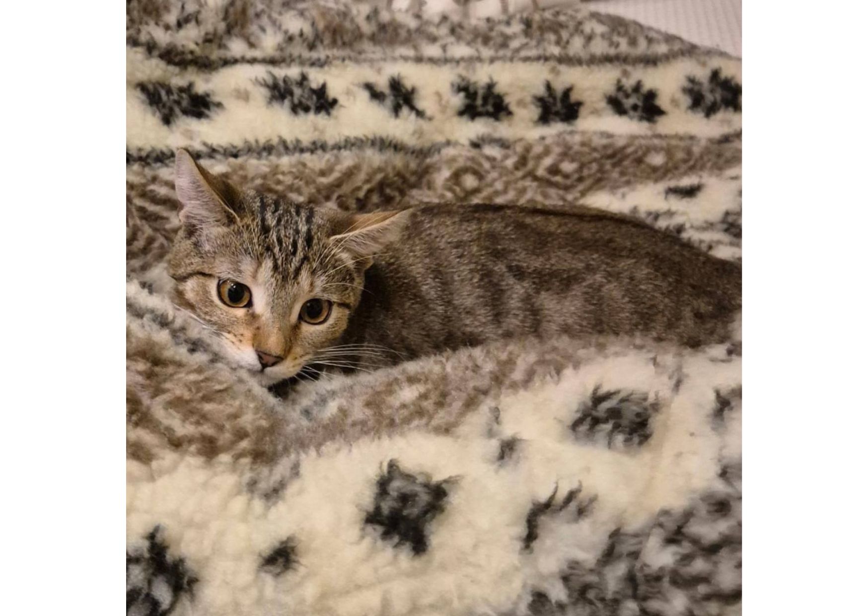 Неймовірна дівчинка чекає своїх людей