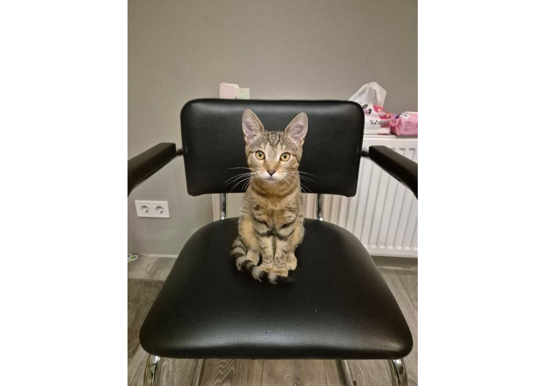 Неймовірна дівчинка чекає своїх людей