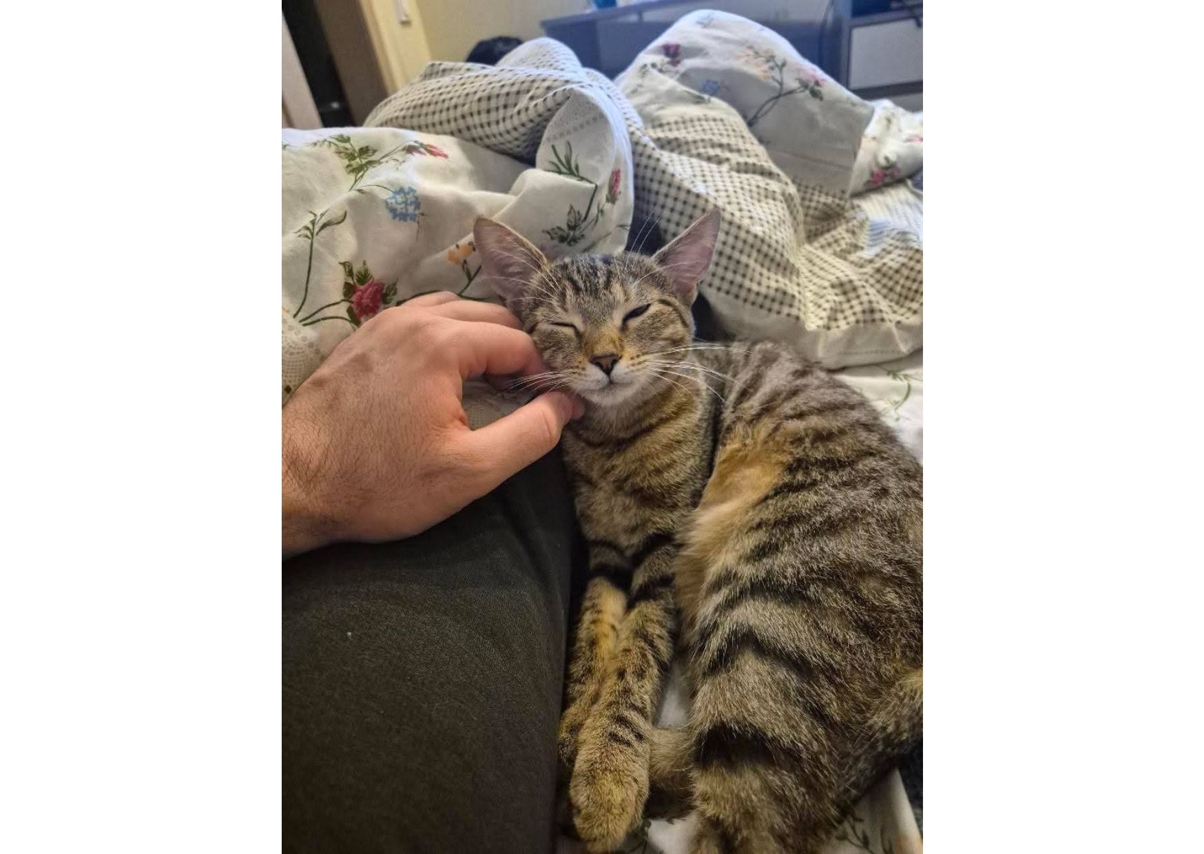 Неймовірна дівчинка чекає своїх людей