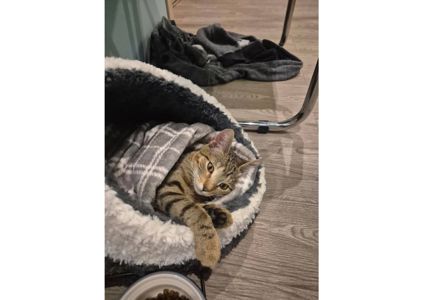 Неймовірна дівчинка чекає своїх людей