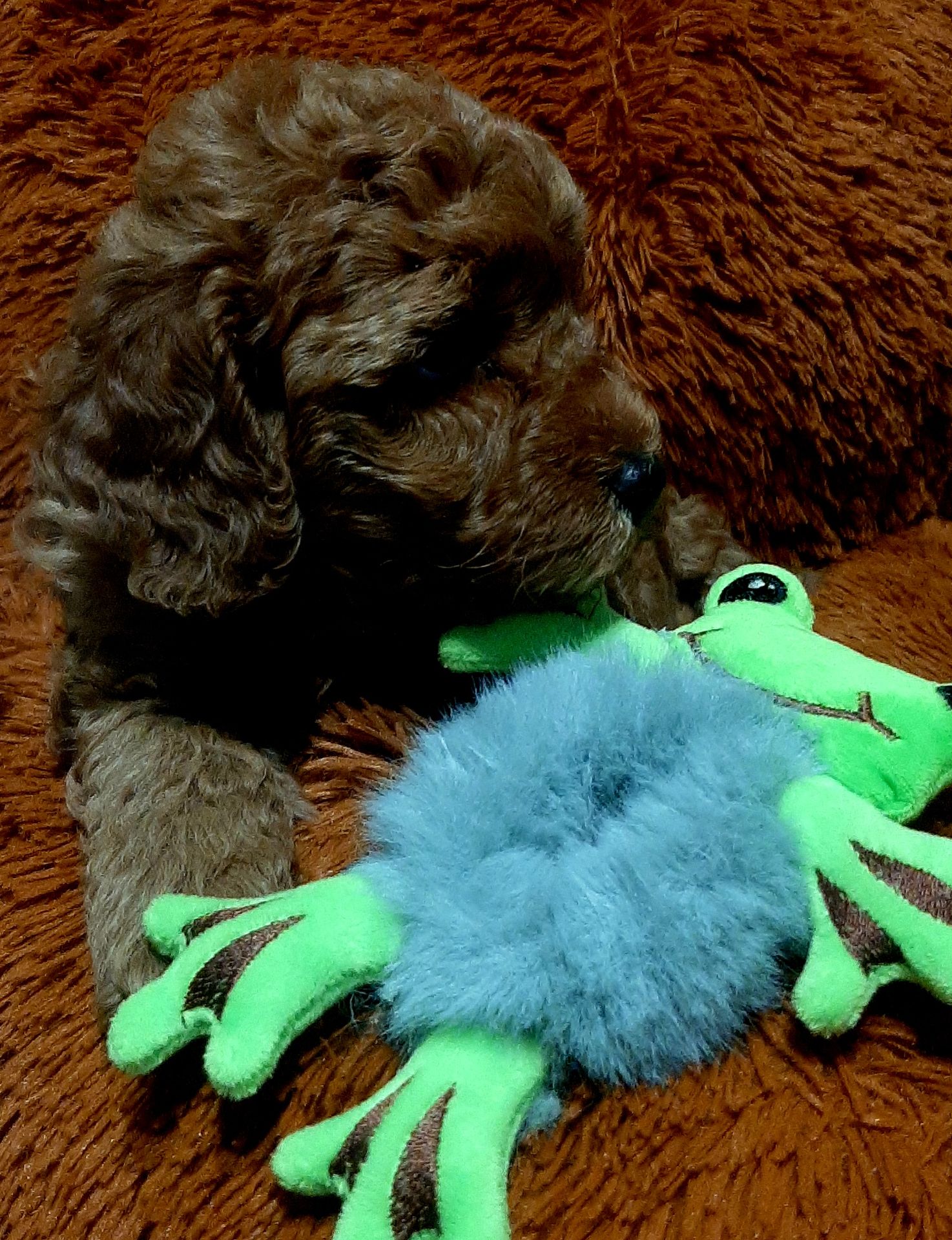 Чарiвний красень!