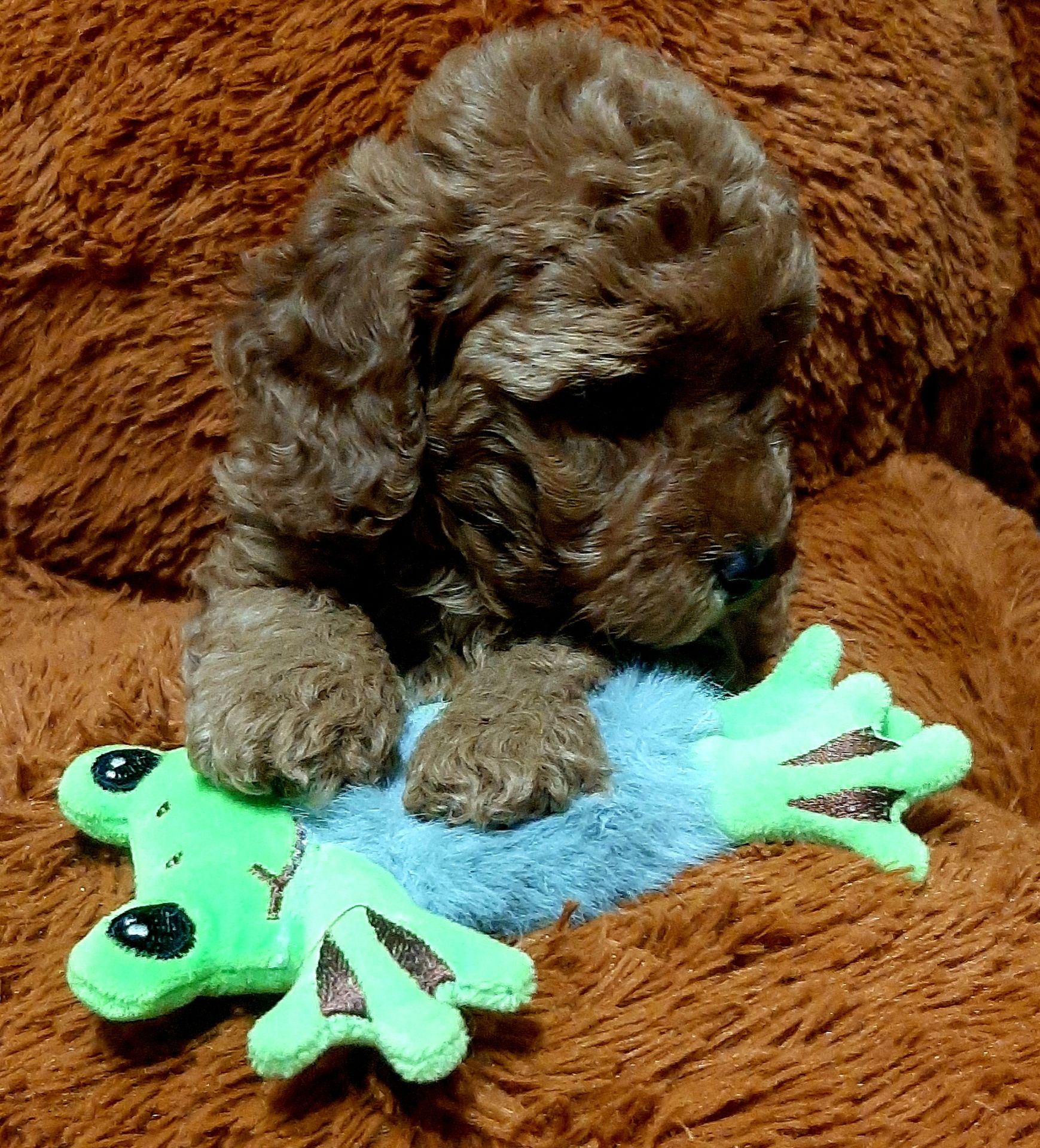 Чарiвний красень!