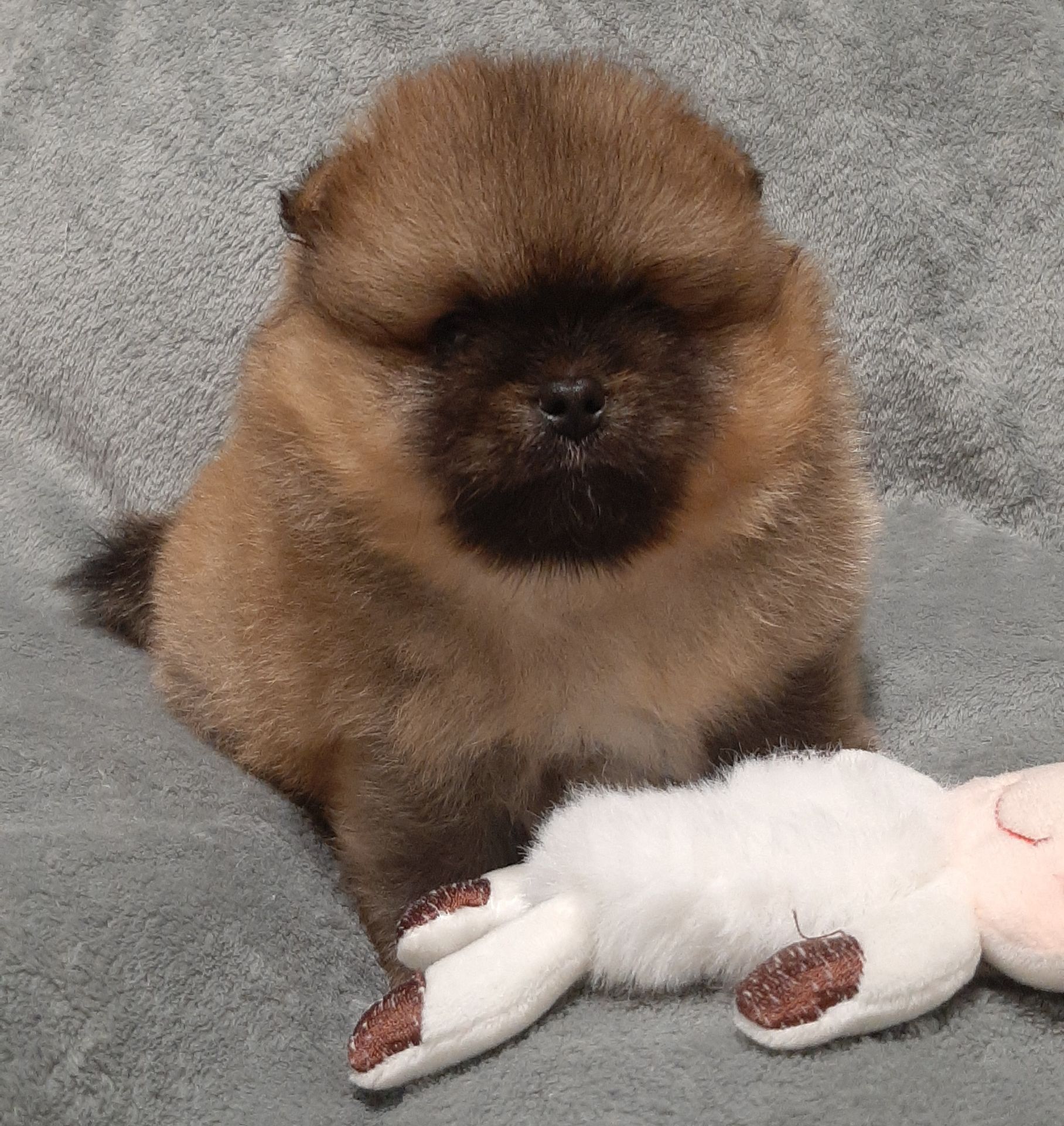 Неймовiрний VIP малюк!