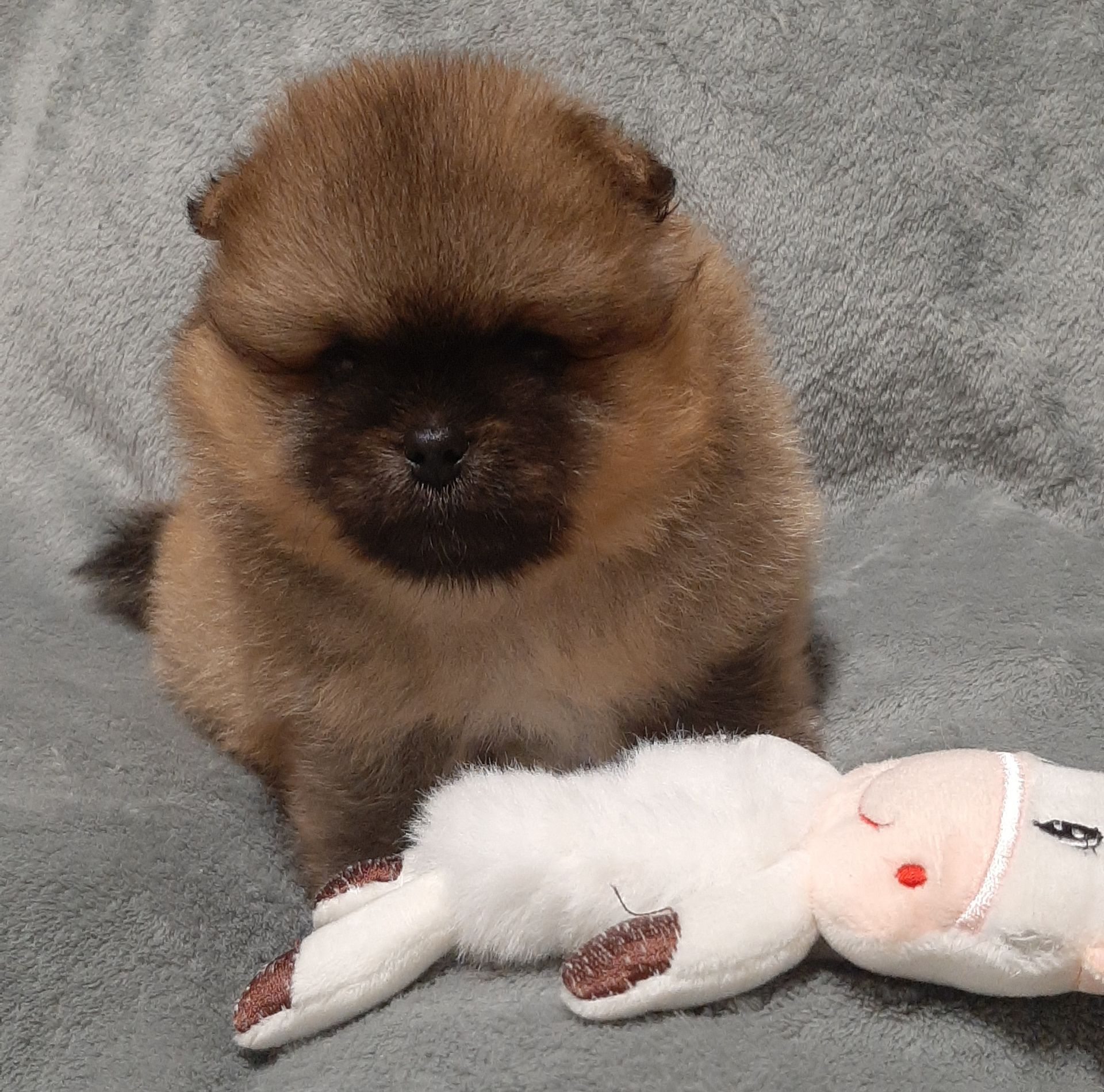 Неймовiрний VIP малюк!