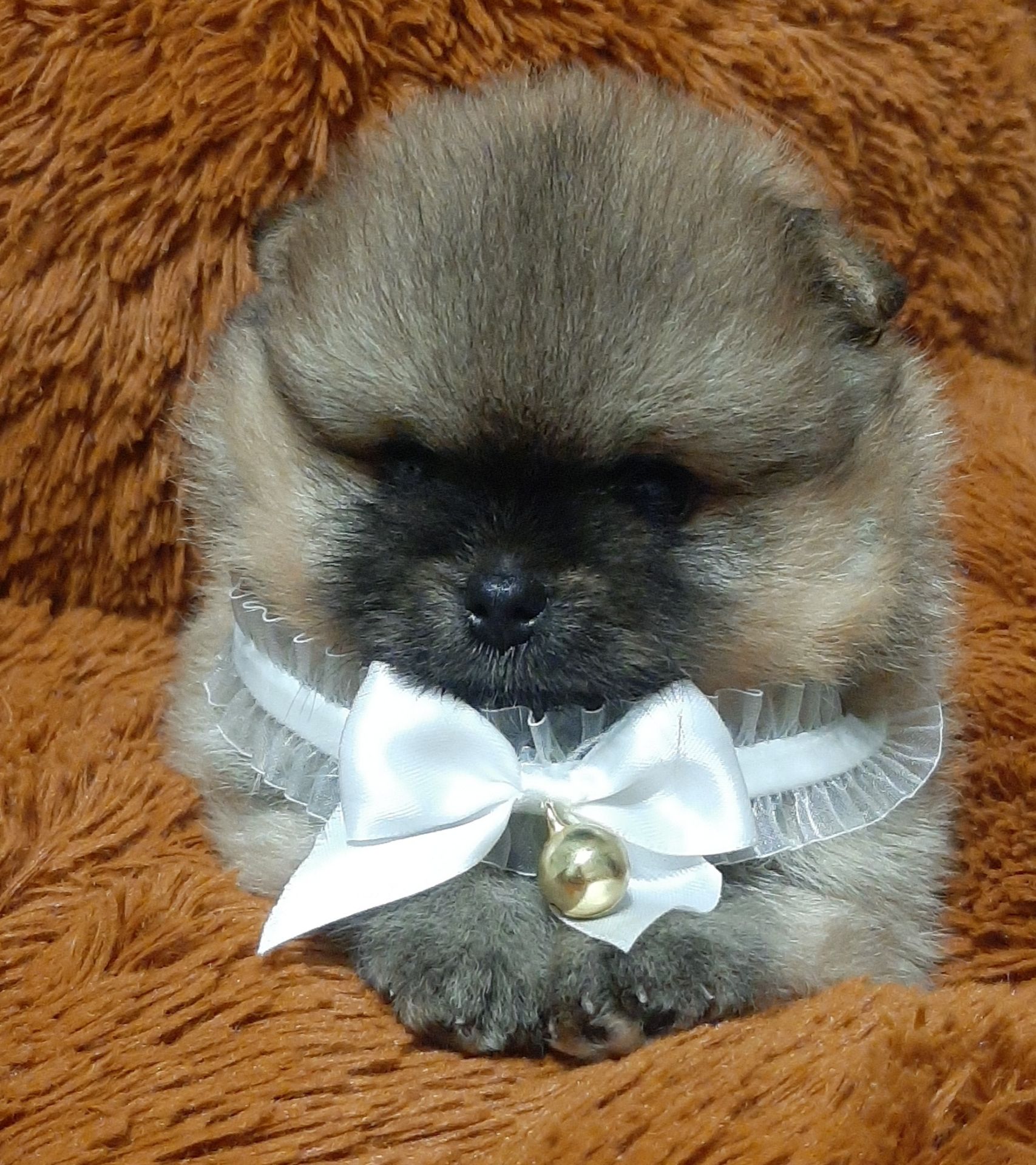 Мiнi хлопчик-ведмедик!