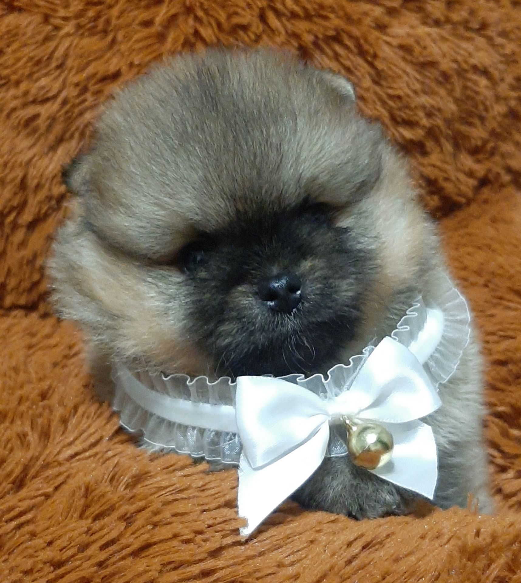 Мiнi хлопчик-ведмедик!