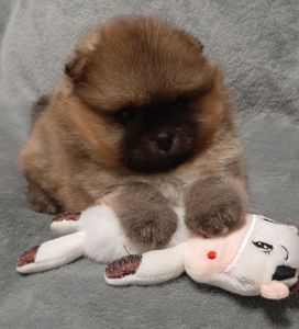 Неймовiрний VIP малюк!