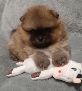 Неймовiрний VIP малюк!