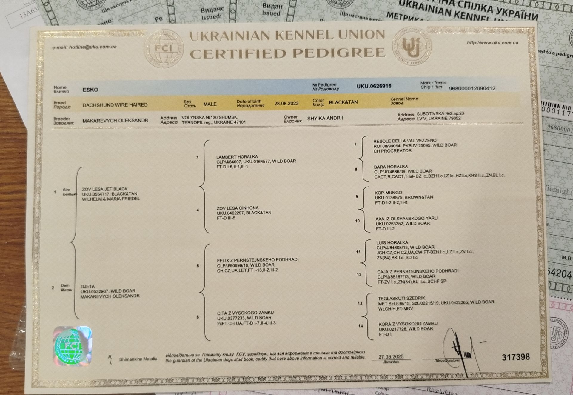 Такса жорсткошерстна