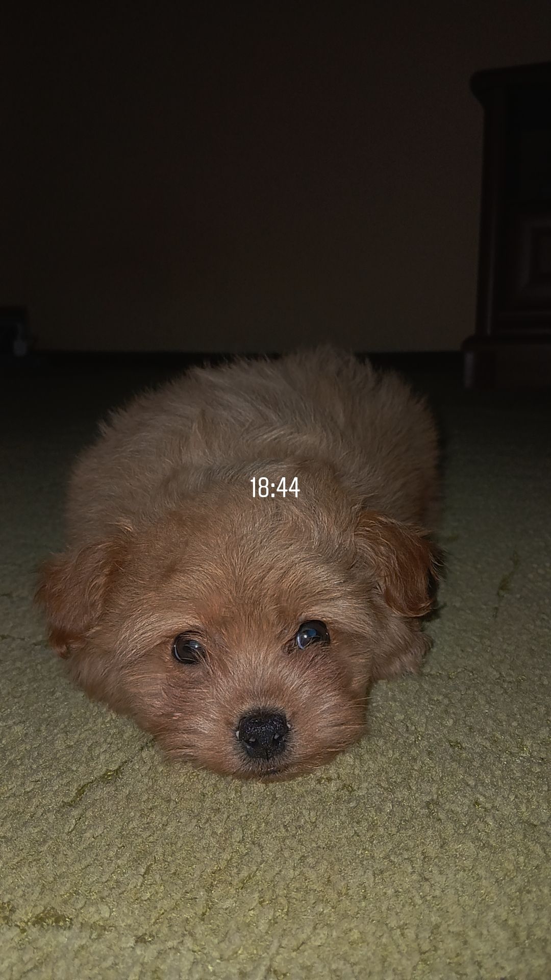 Карамелька