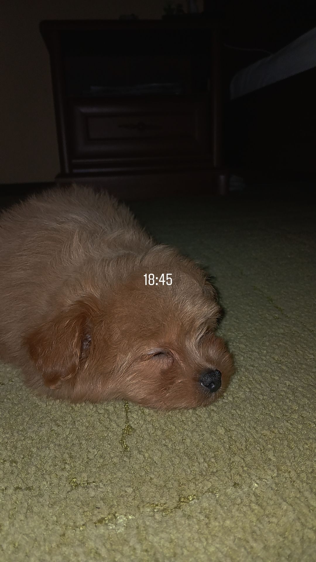 Карамелька