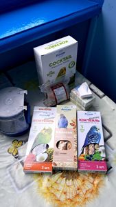 Продам волнистого попугая