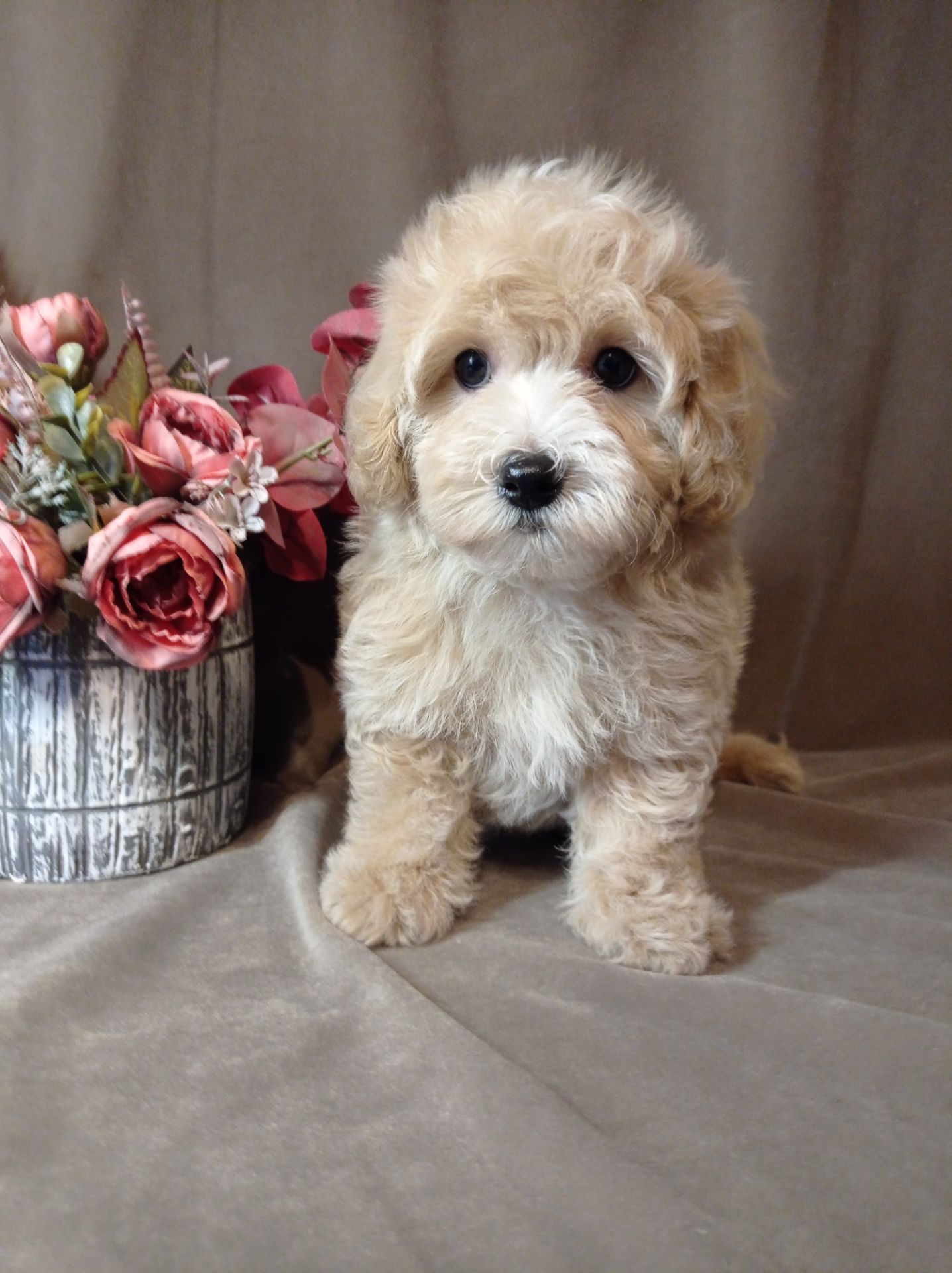 Маленький хлопчик