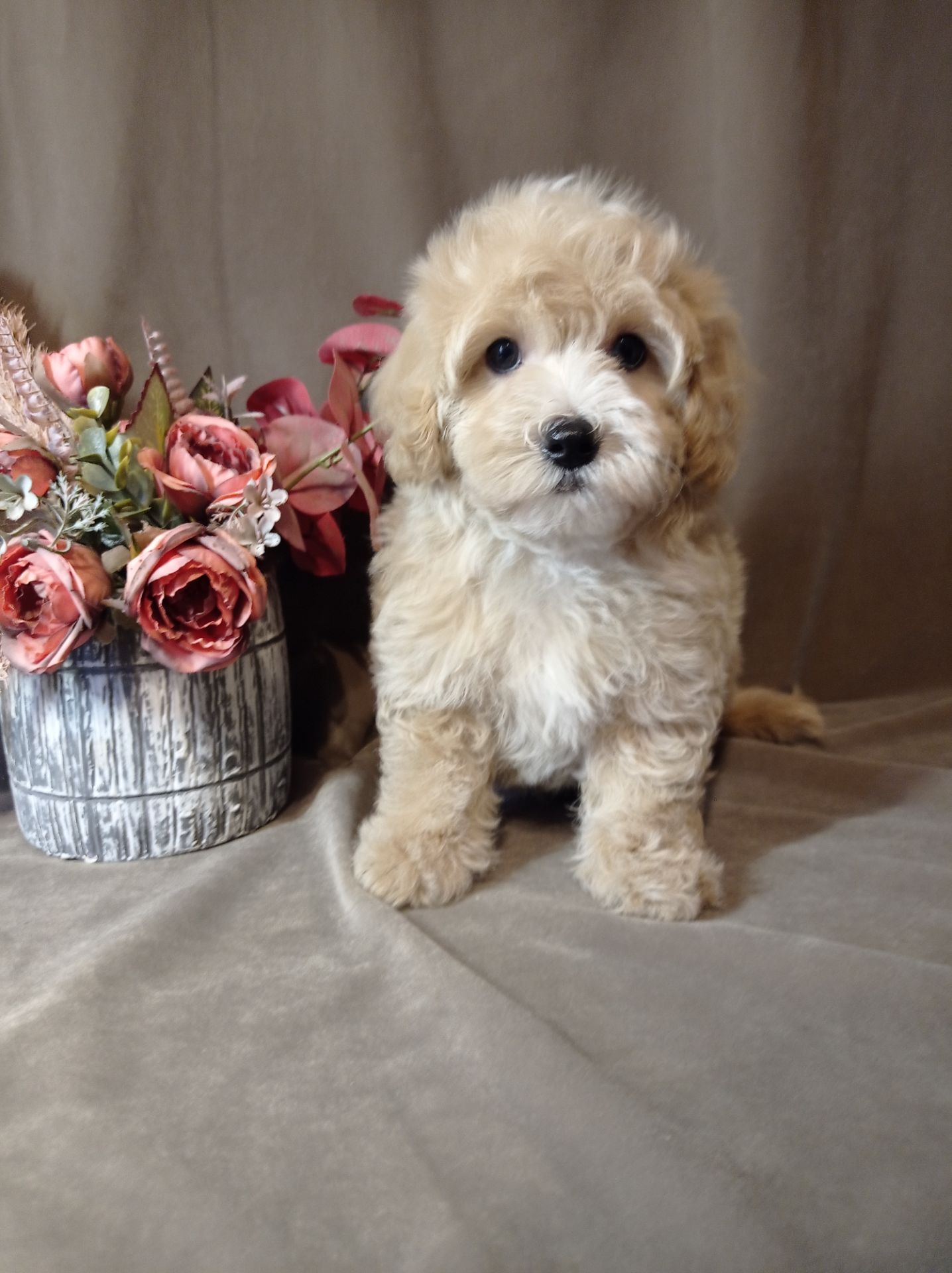 Маленький хлопчик