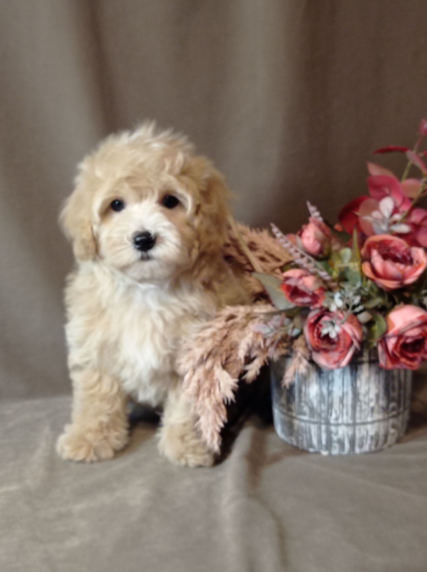 Маленький хлопчик