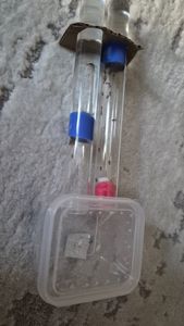 Муравьи lasius nager