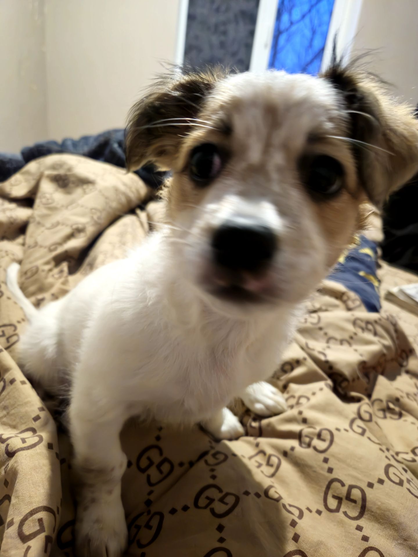 Дівчинка пуховичок