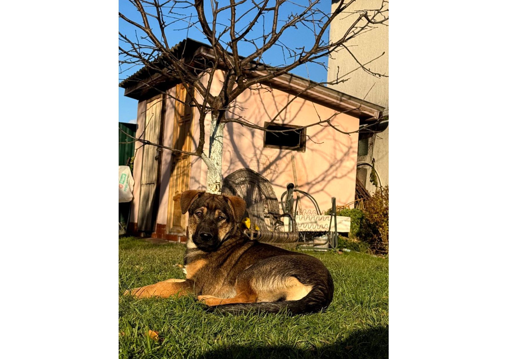 Цей пост – останній шанс на життя, кожен день може стати останнім! Часу обмаль!