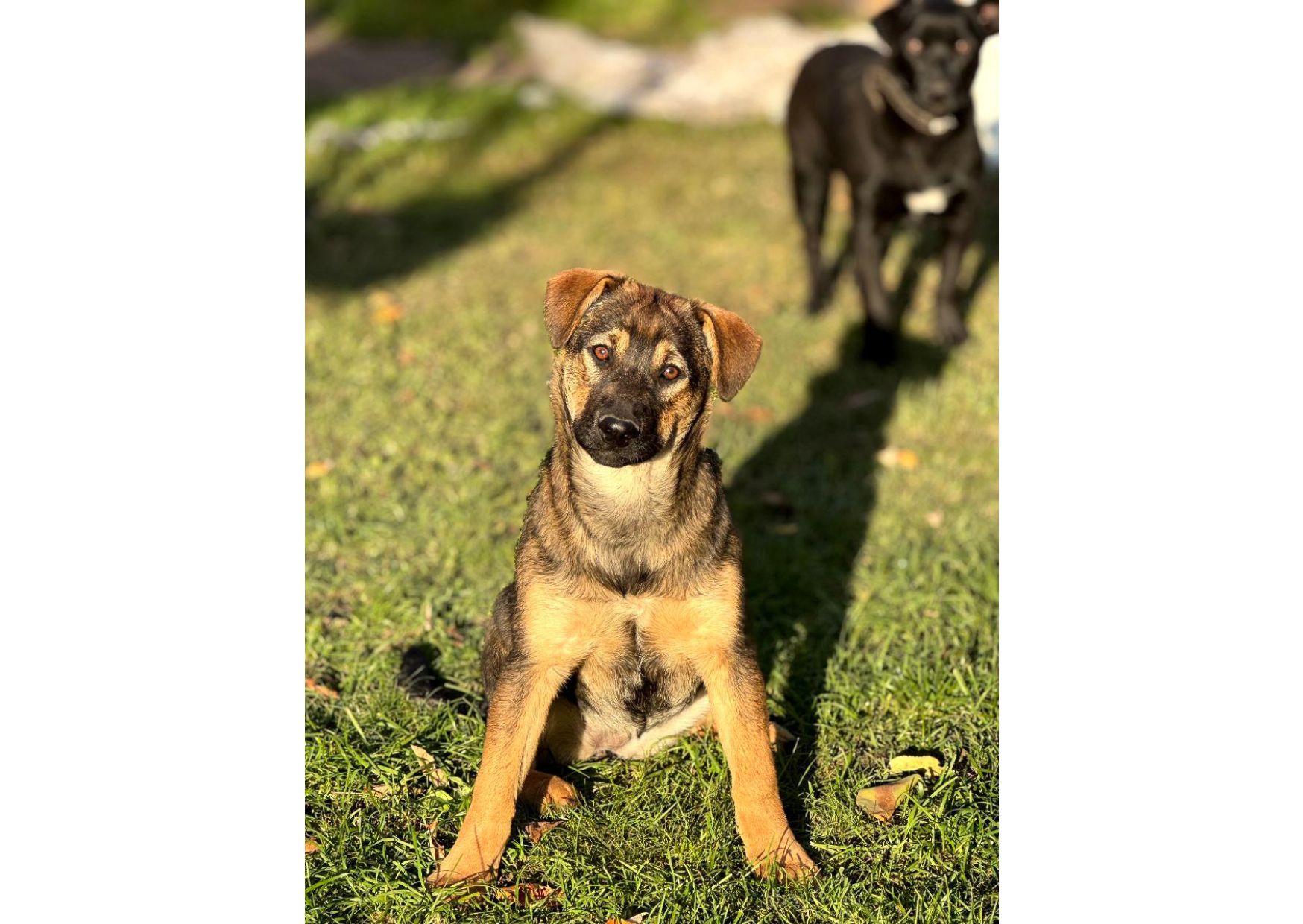 Цей пост – останній шанс на життя, кожен день може стати останнім! Часу обмаль!