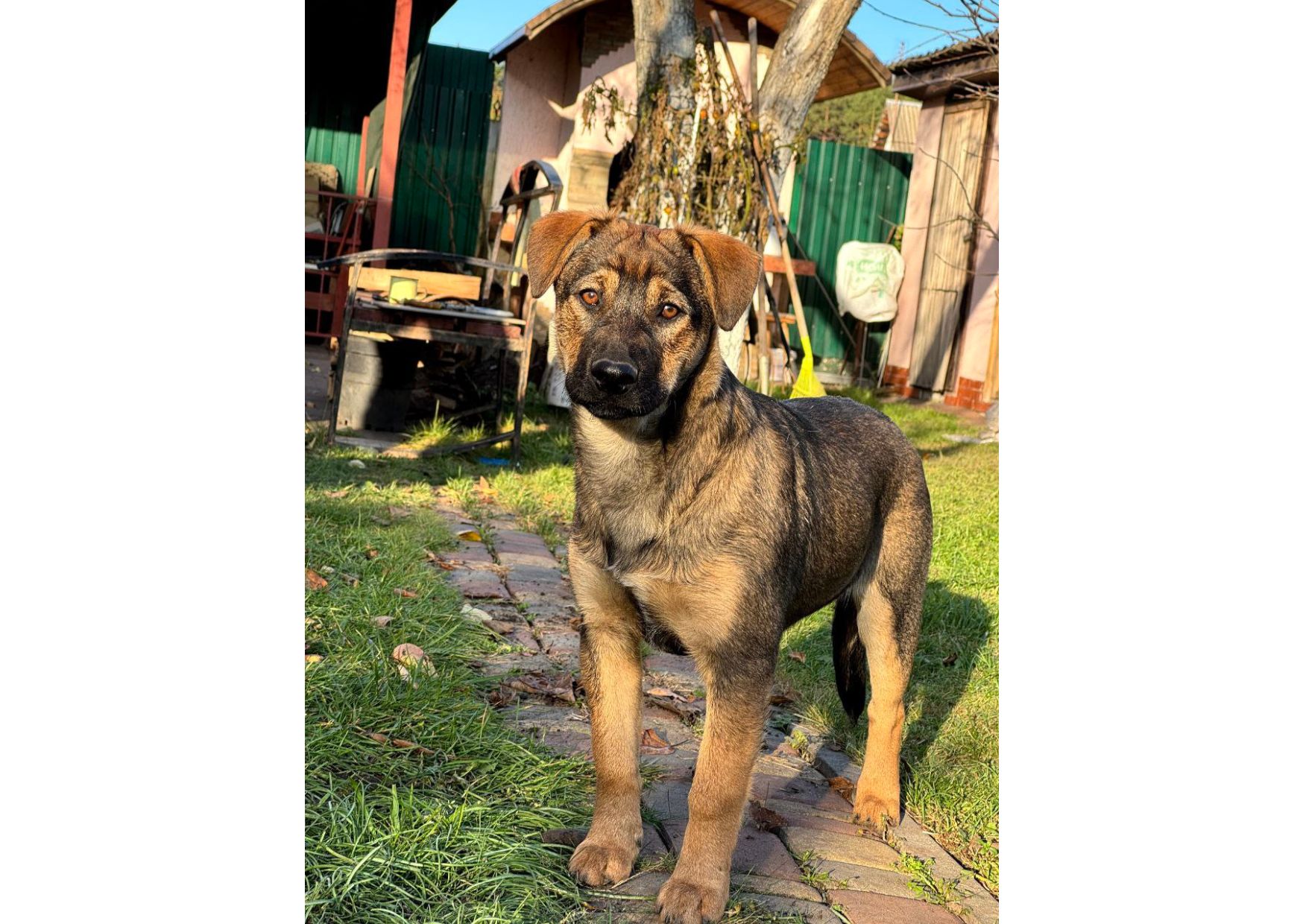 Цей пост – останній шанс на життя, кожен день може стати останнім! Часу обмаль!