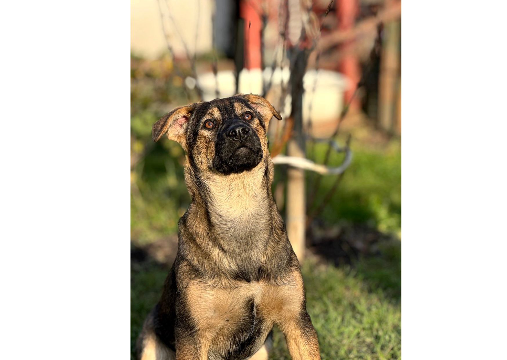 Цей пост – останній шанс на життя, кожен день може стати останнім! Часу обмаль!