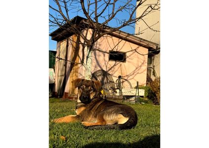 Цей пост – останній шанс на життя, кожен день може стати останнім! Часу обмаль!