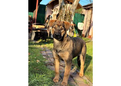 Цей пост – останній шанс на життя, кожен день може стати останнім! Часу обмаль!