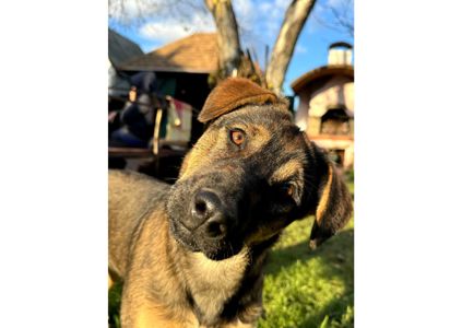 Цей пост – останній шанс на життя, кожен день може стати останнім! Часу обмаль!