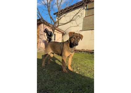 Цей пост – останній шанс на життя, кожен день може стати останнім! Часу обмаль!